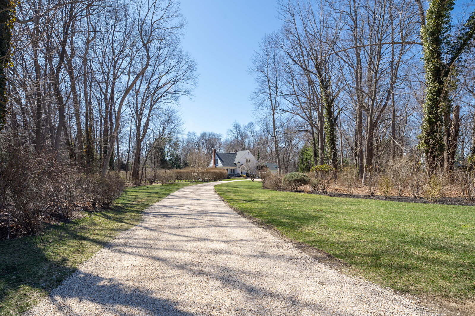 Tree-lined gravel driveway approach
